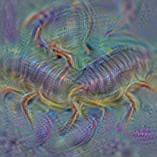 n01770393 scorpion
